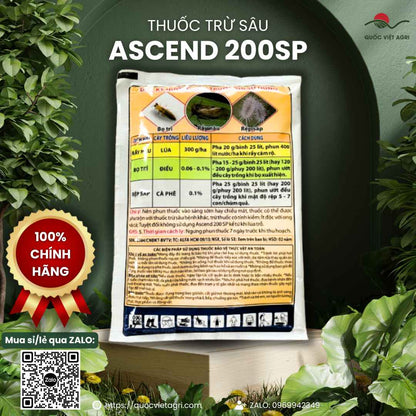 Mặt sau gói thuốc trừ sâu Ascend 20SP 100g, chuyên dùng để đặc trị rầy nâu, bọ trĩ, rệp sáp, sản phẩm chính hãng.