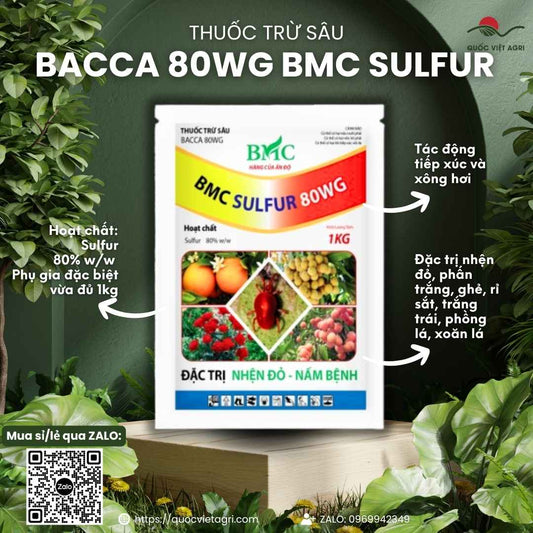 Mặt trước gói thuốc trừ nhện Bacca 80WG BMC Sulfur 1KG, chuyên dùng để đặc trị nhện đỏ, phấn trắng, sản phẩm nhập khẩu Ấn Độ.

