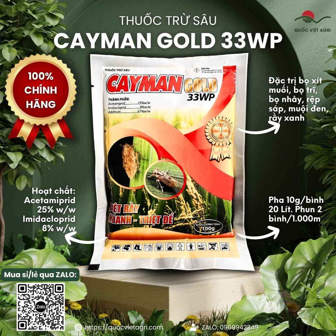 Mặt trước gói thuốc trừ rầy xanh Cayman Gold 33WP 100g.