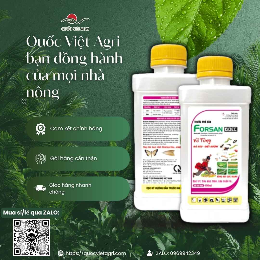 Thành phần Phenthoate 600g/lít công nghệ Taiwan mặt sau chai Forsan.