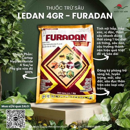 Mặt trước gói thuốc trừ sâu rải gốc Furadan Ledan 4GR 1KG, chuyên dùng để đặc trị tuyến trùng, sâu đục thân, sản phẩm chính hãng của Quốc Việt Agri.

