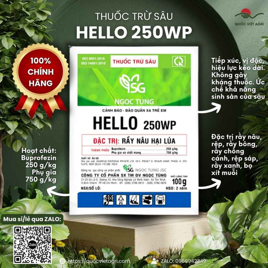 Mặt trước gói Thuốc trừ sâu HELLO 250WP 100g chuyên trị rầy nâu.