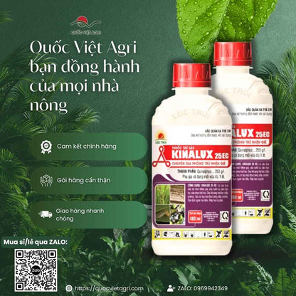 Thành phần Quinalphos 250g/l mặt sau chai Kinalux 25EC.