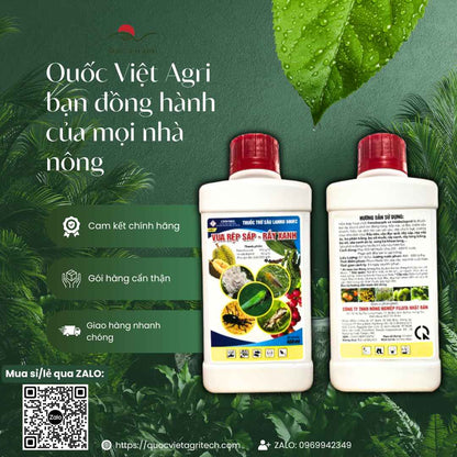 Ảnh toàn diện chai thuốc trừ sâu Vua Rệp Sáp Rầy Xanh 450ml, chuyên dùng để đặc trị rệp sáp, rầy xanh, sản phẩm chính hãng.
