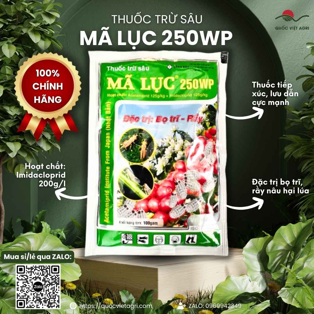 Mặt trước gói thuốc trừ sâu MÃ LỤC 250WP Xanh 100g, chứa Acetamiprid và Imidacloprid, đặc trị rầy rệp, bọ trĩ.

