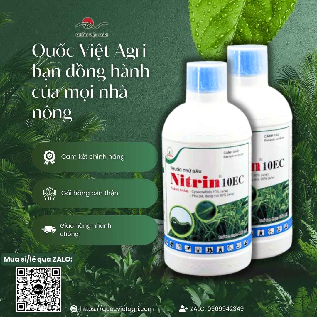 Hoạt chất Cypermethrin 10% mặt sau chai Nitrin đặc trị sâu xanh.