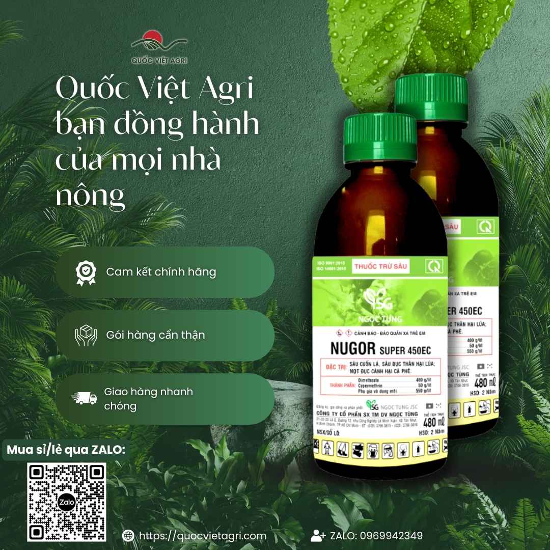 Hình ảnh tổng quan sản phẩm thuốc trừ sâu Nugor Super 450EC, giải pháp lưu dẫn kép diệt sâu ẩn nấp từ Quốc Việt Agri.