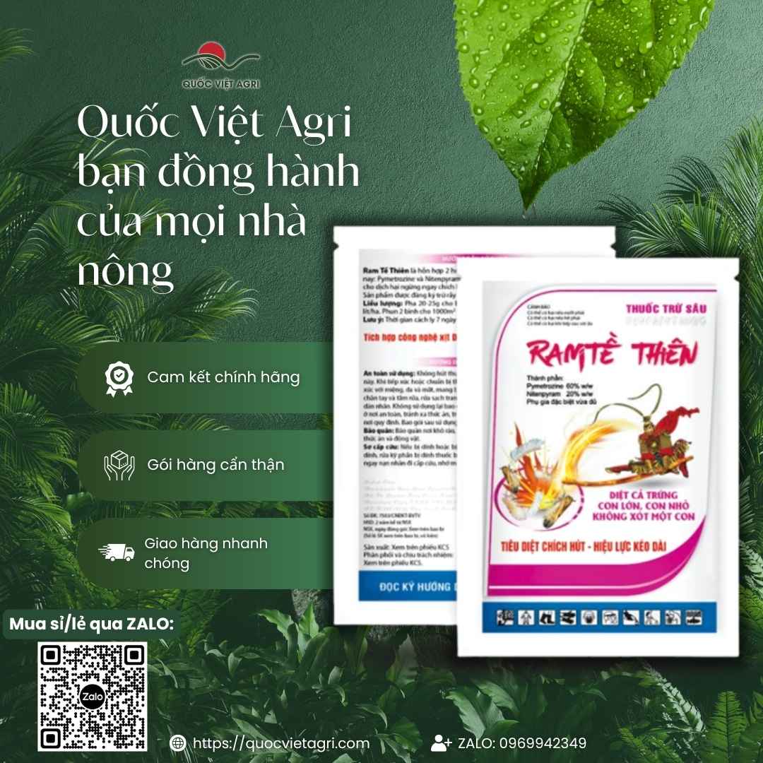 Mặt sau gói Ram Tề Thiên với hoạt chất Pymetrozine 60% và Nitenpyram 20%.