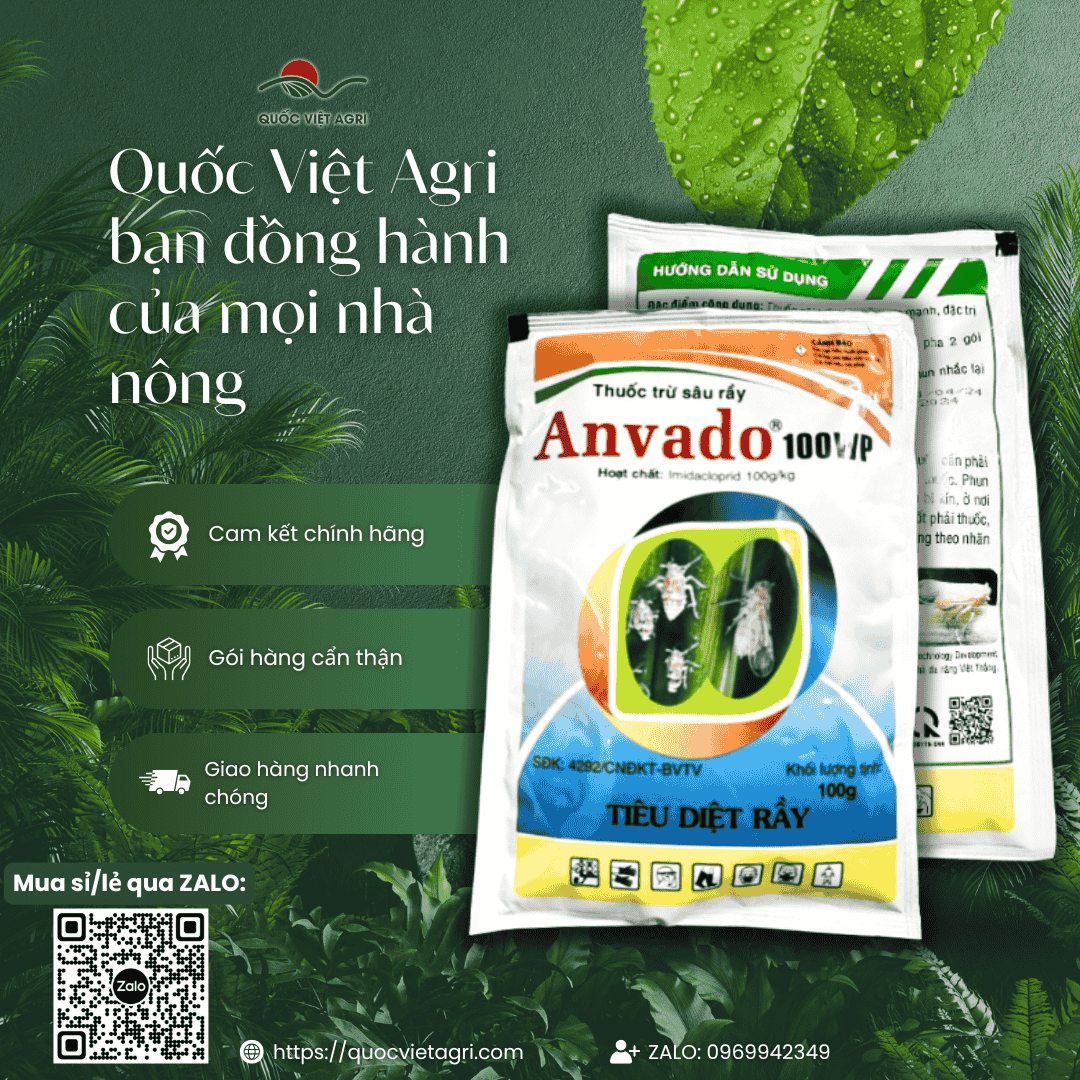 Ảnh tổng quan gói thuốc trừ sâu ANVADO 100WP 100g, chứa hoạt chất Imidacloprid 100g/kg, đặc trị rầy nâu lúa, côn trùng chích hút.
