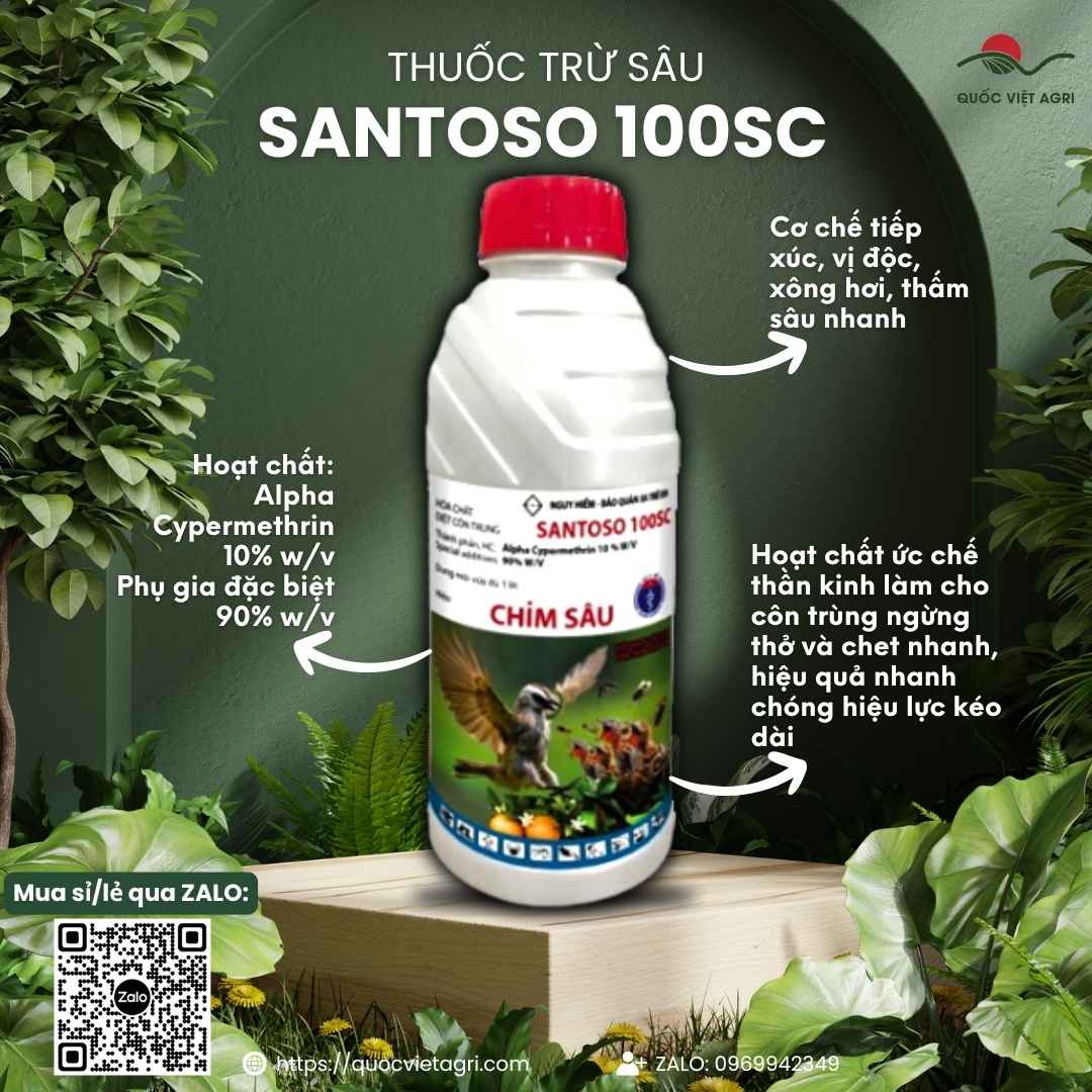 Mặt trước chai thuốc trừ sâu Santoso 100SC Chim Sâu 1 Lít, chuyên dùng để đặc trị sâu cuốn lá, bọ trĩ, sản phẩm chính hãng.

