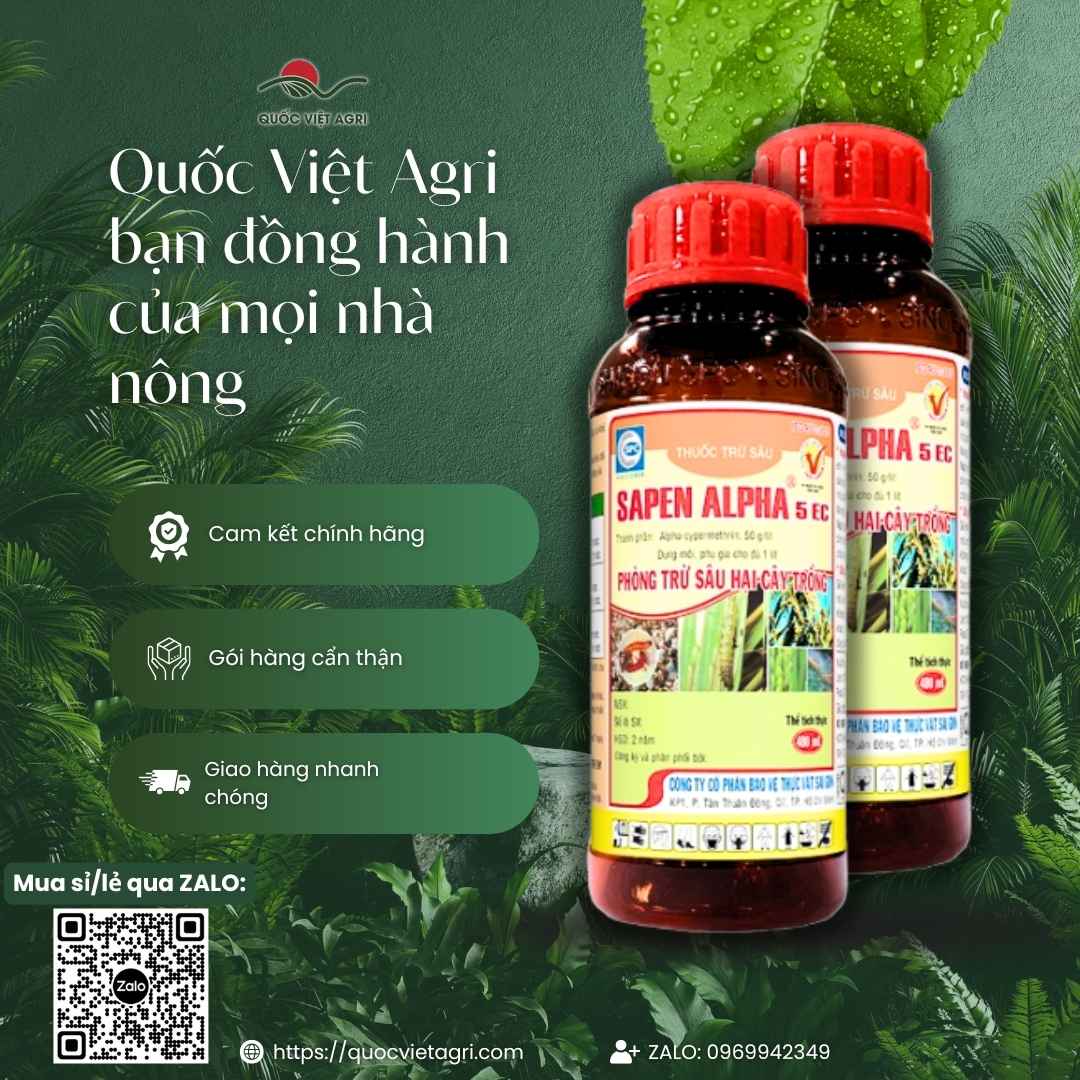 Bảng thành phần Alpha-cypermethrin diệt bọ xít hôi mặt sau chai.