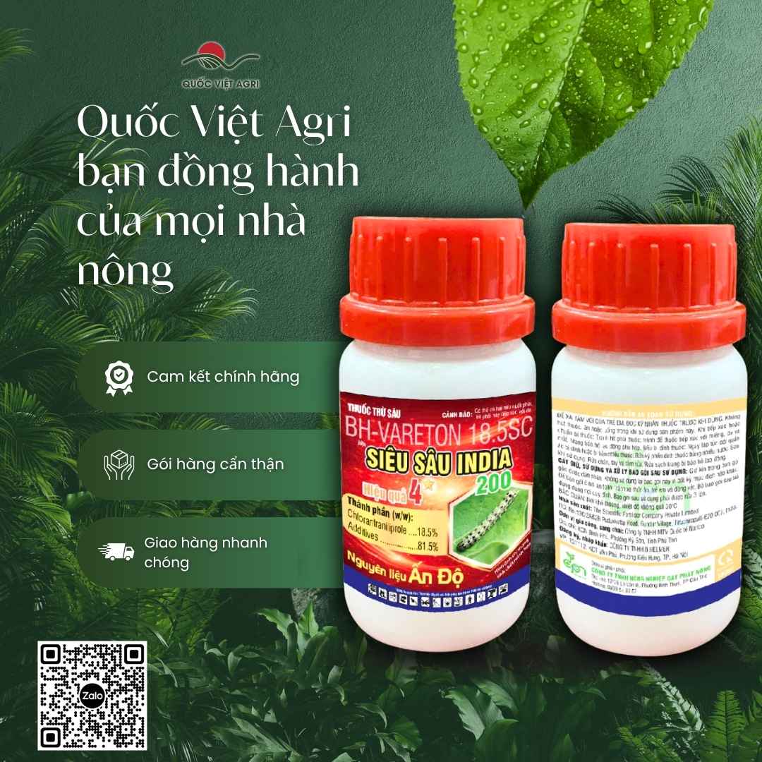 Ảnh toàn diện chai thuốc trừ sâu BH VARETON và hoạt chất Chlorantraniliprole 18.5% làm tê liệt cơ bắp sâu hại.