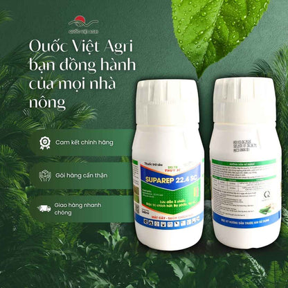 SUPAREP 22.4SC – lưu dẫn hai chiều diệt côn trùng chích hút ẩn náu