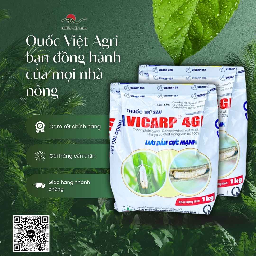 VICARP 4GR – chặn sâu đục thân, bảo vệ bông lúa, chính hãng VIPESCO