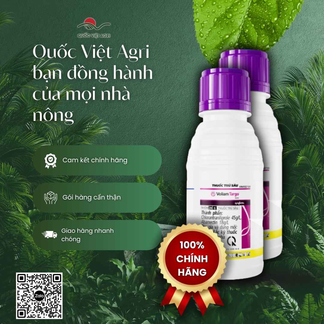 VOLIAM TARGO 063SC – chuyên sâu cuốn lá, đục thân, sâu keo mùa thu trên bắp