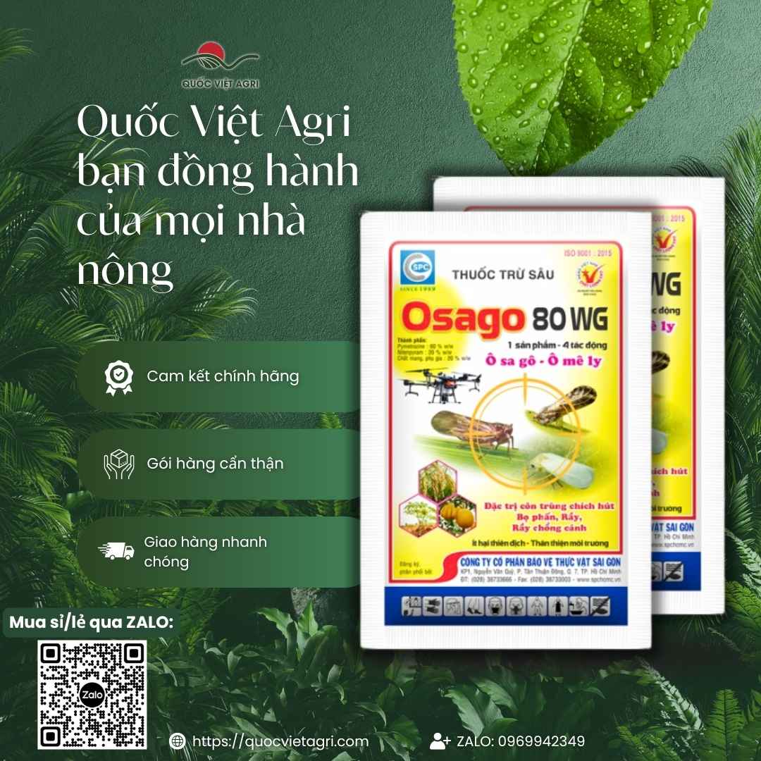 Thành phần Pymetrozine và Nitenpyram mặt sau gói OSAGO 80WG.