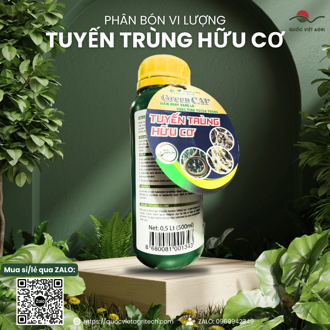Mặt sau chai Phân bón vi lượng TUYẾN TRÙNG HỮU CƠ (Green Cap) 500ml, hiển thị rõ thông tin thành phần (Mangan, Tinh dầu sinh học) và hướng dẫn sử dụng.