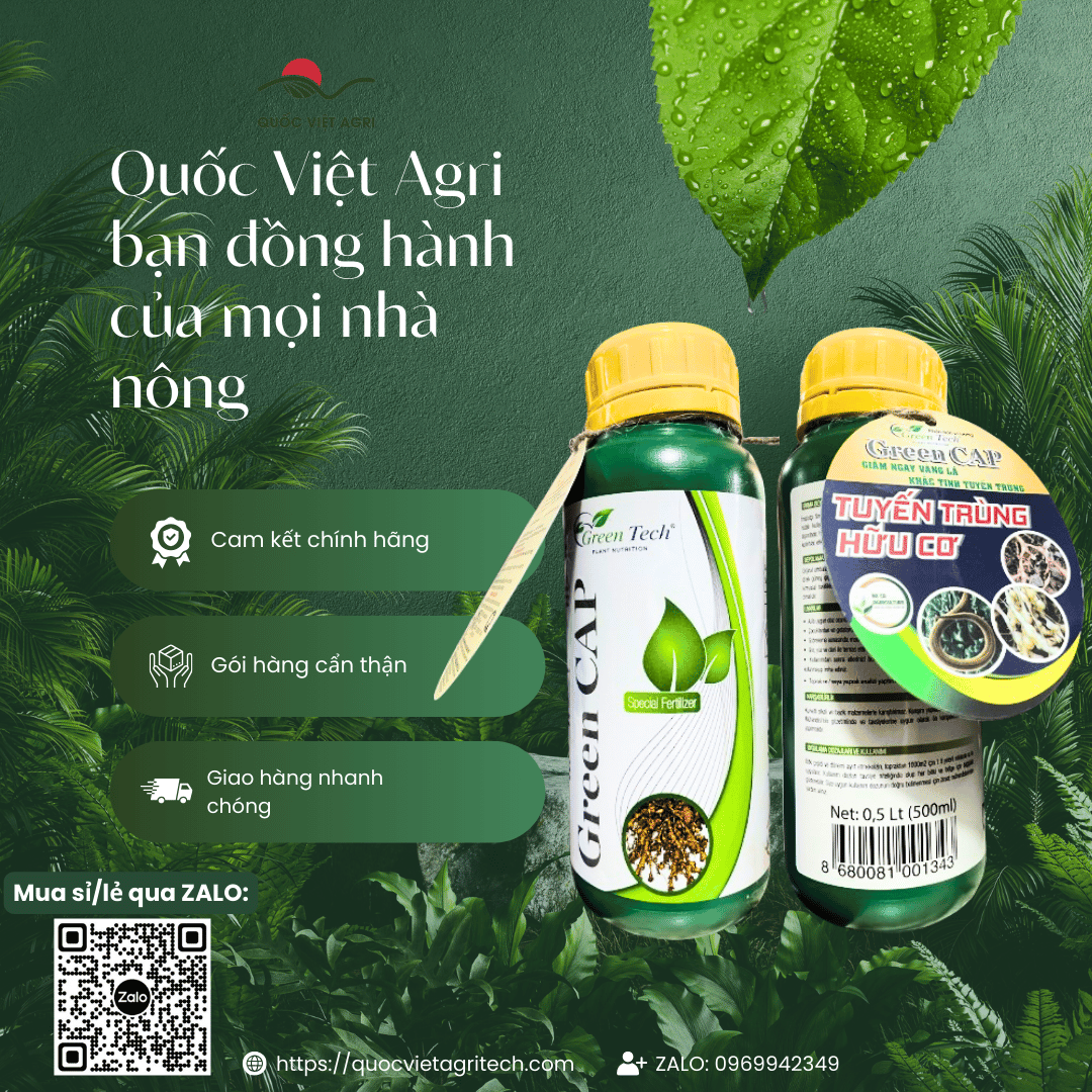 Hình ảnh hai mặt (trước và sau) của chai Phân bón vi lượng TUYẾN TRÙNG HỮU CƠ (Green Cap) 500ml, đầy đủ nhãn mác.