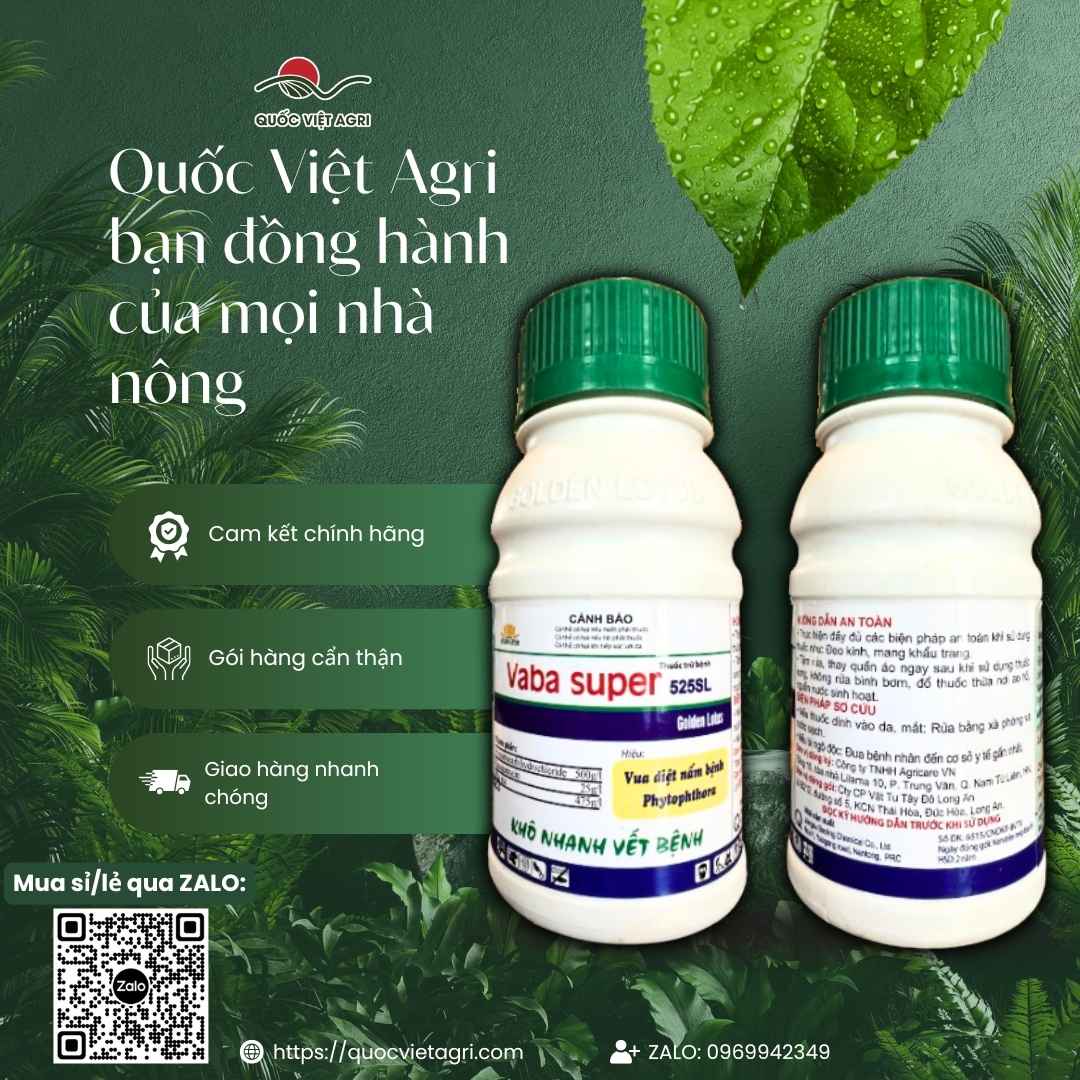 Ảnh toàn diện kèm bảng thành phần Kasugamycin và Propamocarb dập dịch bệnh thần tốc.