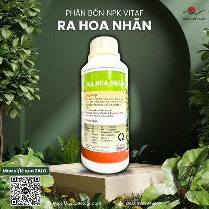 Mặt sau chai VITAF Ra Hoa Nhãn với thông tin thành phần GA3, B1 và hướng dẫn phun kích nhãn Ido, Tiêu da bò.