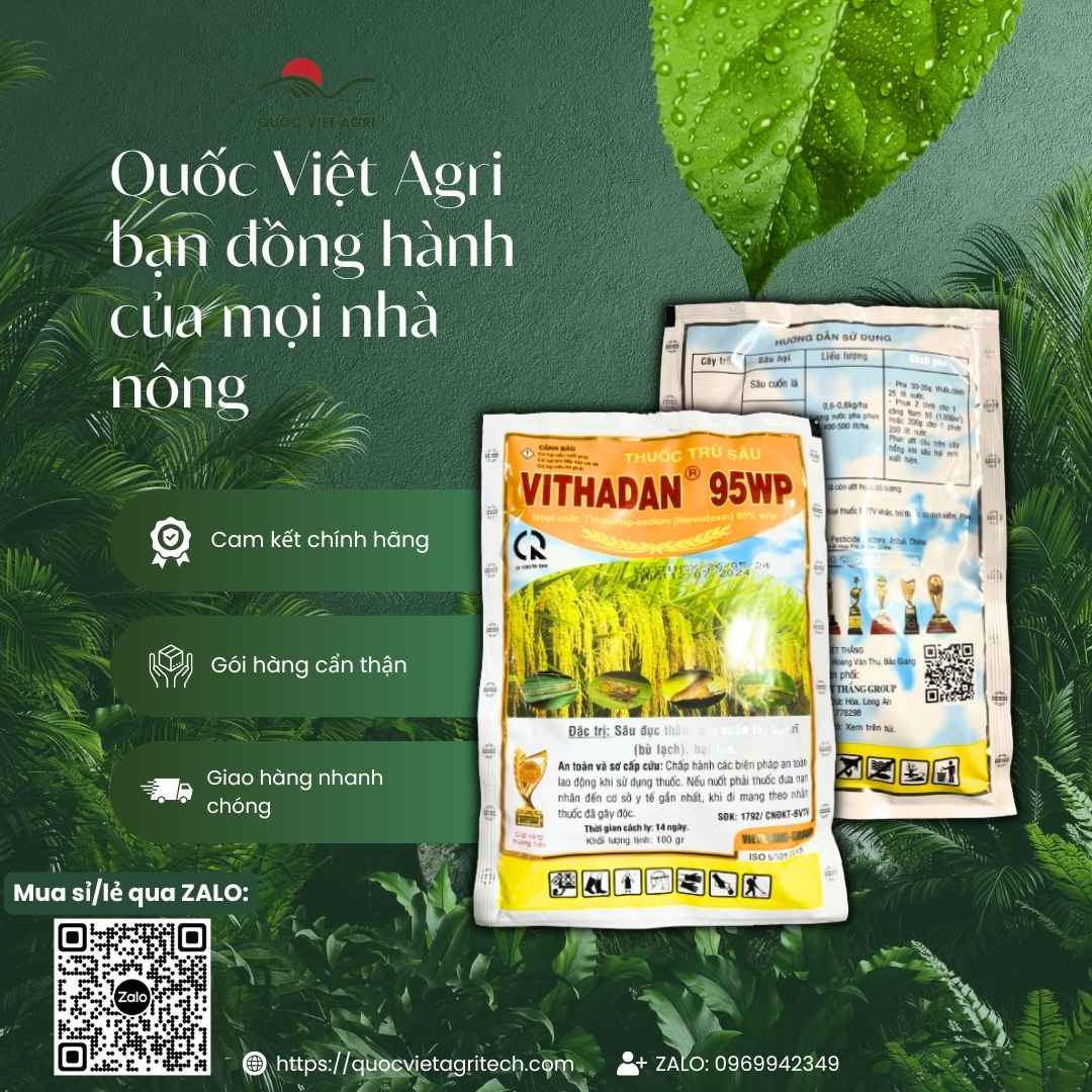 Hai gói thuốc trừ sâu Vithadan 95WP 100g kèm cam kết chính hãng Quốc Việt Agri