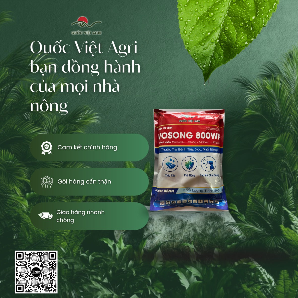 VOSONG 800WP 1kg – Quốc Việt Agri, cam kết chính hãng