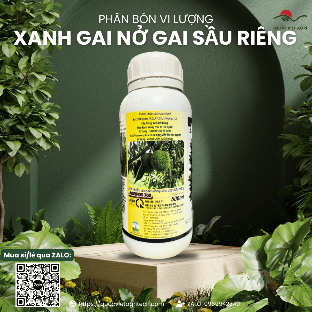 Mặt sau chai phân bón XANH GAI NỞ GAI SẦU RIÊNG 500ml, hiển thị rõ thông tin thành phần (Bo, Kali) và hướng dẫn sử dụng chi tiết cho sầu riêng.
