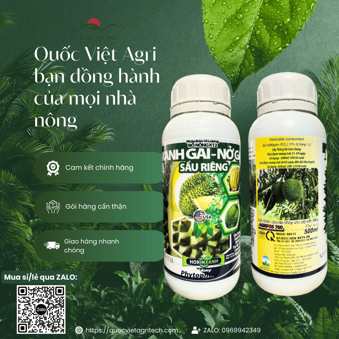 Hình ảnh hai mặt (trước và sau) của chai phân bón XANH GAI NỞ GAI SẦU RIÊNG 500ml, đầy đủ nhãn mác, chuyên dưỡng trái sầu riêng.