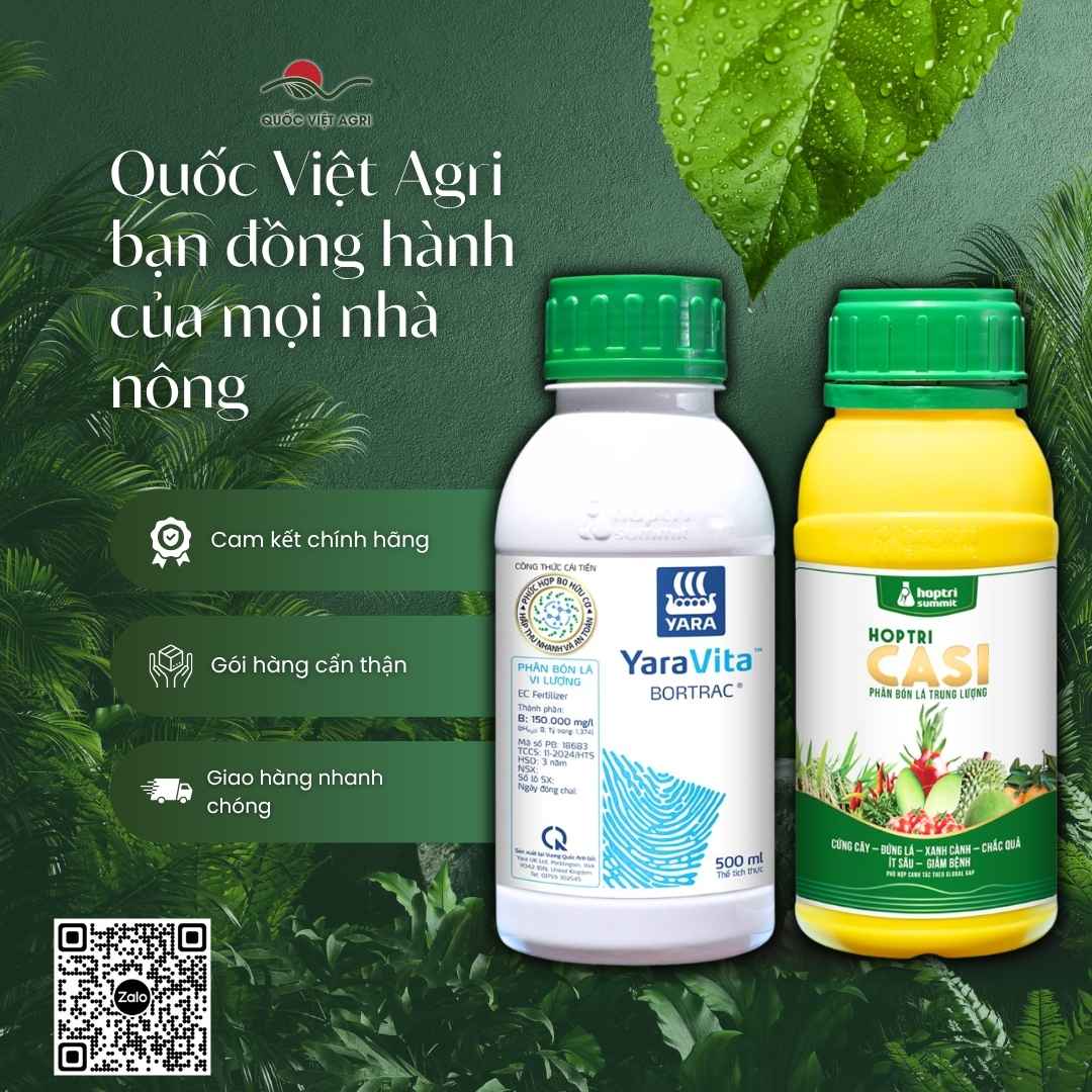 Thành phần Bo hữu cơ và Canxi Silic mặt sau Combo Bortrac Casi Hợp Trí.